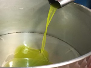 olio1